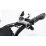 HypTech Elefant eBike | 20-inch | LCD display | Full suspension | EU-approved | 2-seater