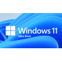 Windows 11 Ultra Stick | USB-A | USB-C