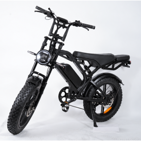 HypTech Elefant eBike | 20-inch | LCD display | Full suspension | EU-approved | 2-seater