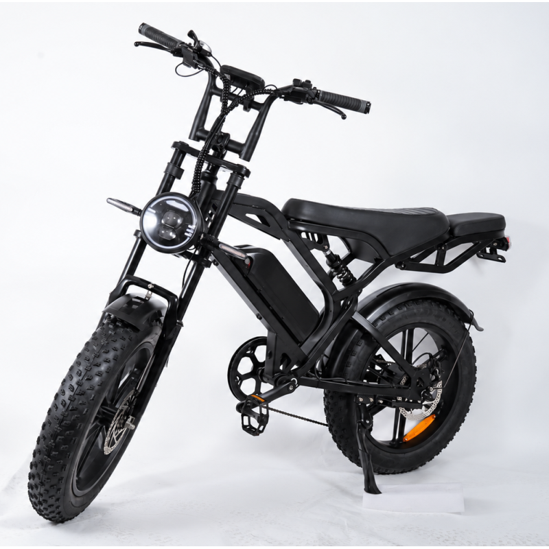 HypTech Elefant eBike | 20 Zoll | LCD Display | Vollfederung | EU ...