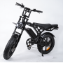 HypTech Elefant eBike | 20-inch | LCD display | Full suspension | EU-approved | 2-seater
