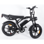 HypTech Elefant eBike | 20-inch | LCD display | Full suspension | EU-approved | 2-seater