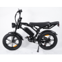 HypTech Elefant eBike | 20-inch | LCD display | Full suspension | EU-approved | 2-seater