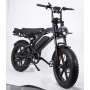 HypTech Elefant eBike | 20-inch | LCD display | Full suspension | EU-approved | 2-seater
