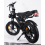 HypTech Elefant eBike | 20-inch | LCD display | Full suspension | EU-approved | 2-seater