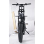 HypTech Elefant eBike | 20-inch | LCD display | Full suspension | EU-approved | 2-seater